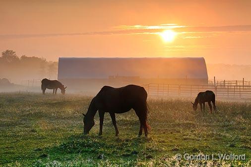 Barnyard Sunrise_03925v2.jpg - Photographed near Orillia, Ontario, Canada.